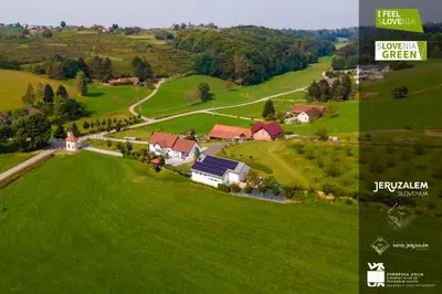 an aerial view of a green field with a house at POD OREHI - Hiša na podeželju - RAZPRŠENI HOTEL Jeruzalem Slovenija in Miklavž pri Ormožu