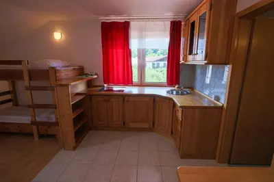 a kitchen with a sink and a bunk bed at Domačija Malnarjevi in Villa Slavina