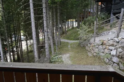 a stone wall next to a path with trees at Apartma Med smrekami Golte in Mozirje