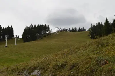 a grassy hill with trees on top of it at Apartma Med smrekami Golte in Mozirje