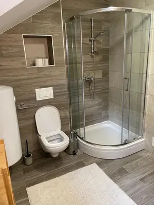 a bathroom with a toilet and a glass shower at Apartma Med smrekami Golte in Mozirje