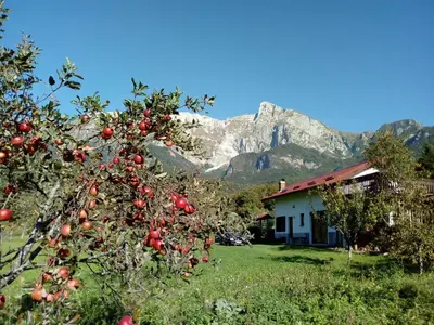 an apple tree in front of a house with a mountain at Holiday Home Krn&Relax in Kobarid