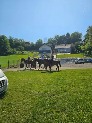 a group of people riding horses in a field at Prenočišče ČERNOŠA Apartma Studio in Gradišče v Slovenskih Goricah
