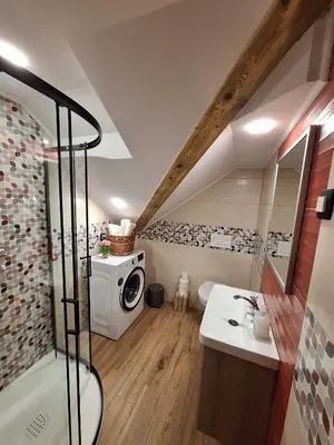 a bathroom with a shower and a sink and a washing machine at Vila Trate in Križevci pri Ljutomeru