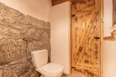 a bathroom with a toilet and a wooden door at House Mimi in Metlika