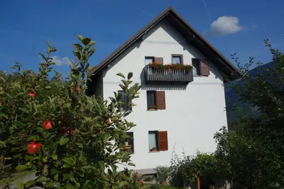 a white house with a window box with flowers in it at Apartment Makuc in Bovec