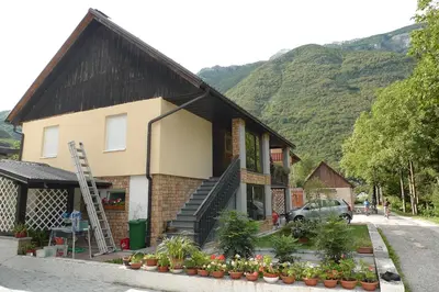 a house with a bunch of plants in front of it at Apartment Mars in Bovec