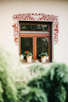 a window with two potted plants on a window sill at Csárdás Salaš in Dobrovnik