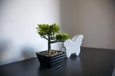 a small tree and a white rabbit on a table at House Stars in Ljubljana