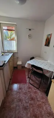 a kitchen with a table and a sink and a window at Apartma Ob Krki in Straža