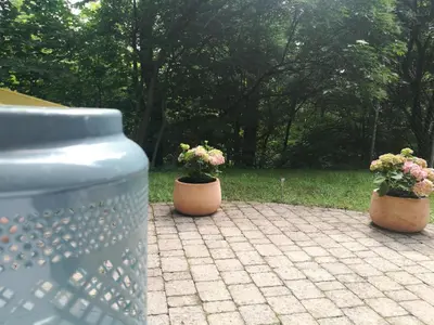 two pots with flowers in them sitting on a patio at Apartments Bassanese in Bled