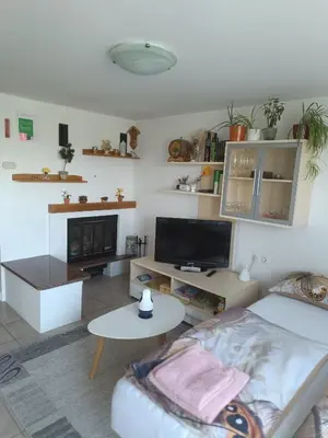 a living room with a bed and a tv at Hiška na gorci in Podčetrtek