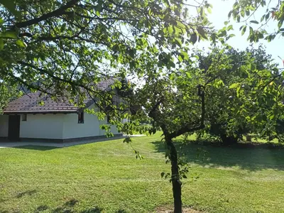 a tree in a yard with a building at Sweet Country House in Markovci