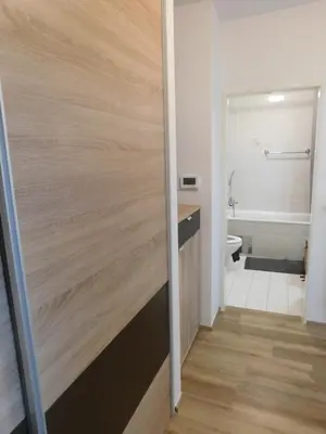 a bathroom with a sliding door with a toilet at Elegant Apartment Poklukarjeva Street in Ljubljana