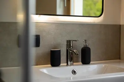 a bathroom sink with a soap dispenser on it at Styria Estate, near Terme Olimia Spa Resort in Podplat