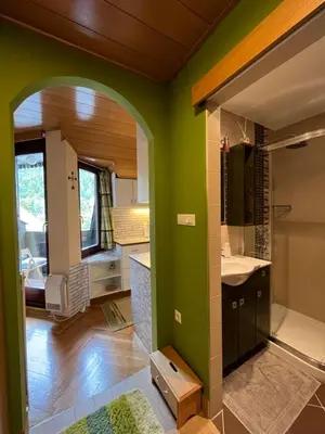 a kitchen with green walls and an archway at Little King - Feel like at home in Kranjska Gora