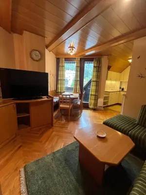 a living room with a couch and a tv at Little King - Feel like at home in Kranjska Gora