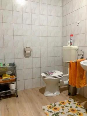 a bathroom with a toilet and a sink at Apartments Sončnica in Moravske Toplice