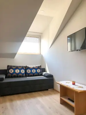 a living room with a couch and a television at Apartments Sončnica in Moravske Toplice