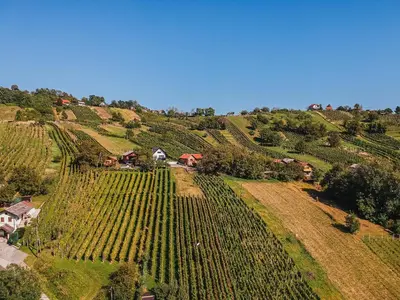 an aerial view of a farm on a hill at Holiday Home Aleks in Lendava