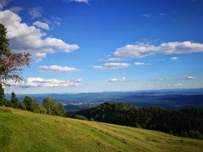 a grassy hill with a view of a valley at Guest house Pr Ambružarju & Apartments in Cerklje na Gorenjskem