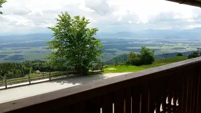 a balcony with a tree and a view of a valley at Guest house Pr Ambružarju & Apartments in Cerklje na Gorenjskem