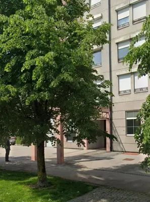 a tree in front of a building at Comfy flat in city-FREE parking in Ljubljana