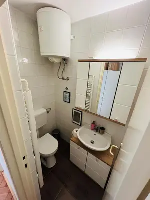 a bathroom with a toilet and a sink and a mirror at Paula’s cosy place in the center of Ljubljana in Ljubljana