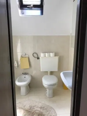 a small bathroom with a toilet and a sink at Holiday Home Anja in Bohinj