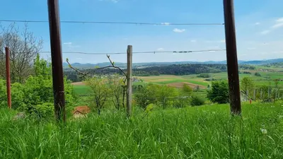a field of grass with a fence in the foreground at Marinčeva zidanica in Črnomelj