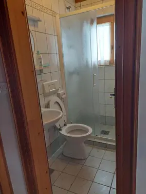 a bathroom with a toilet and a sink and a shower at Marinčeva zidanica in Črnomelj