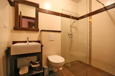 a bathroom with a toilet and a sink and a shower at Pomona Relaxing Nature Guest House in Rogaška Slatina