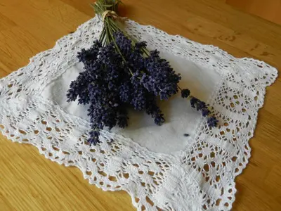a bunch of purple grapes sitting on a table at Apartment Kenda in Bovec