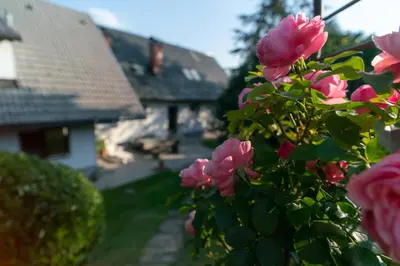 a bush with pink flowers in front of a house at Apartment Satya in Dobrna