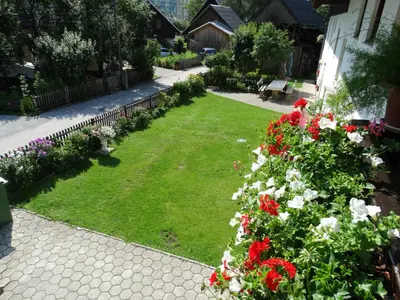 a garden with red and white flowers in a yard at Apartments Štros in Bohinj
