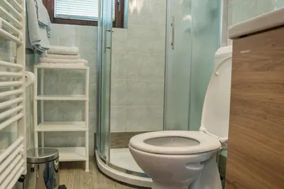a small bathroom with a toilet and a shower at Apartments Štros in Bohinj
