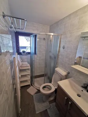 a bathroom with a shower and a toilet and a sink at Apartments Štros in Bohinj