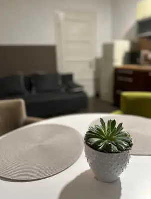 a plant sitting on top of a white table at Apartma Pekrska vila in Limbuš