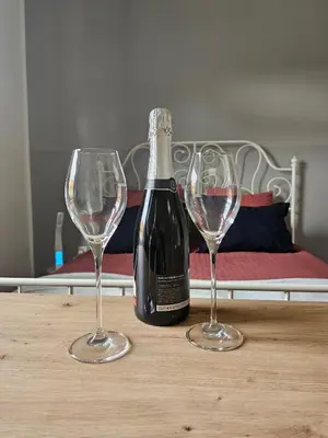 a bottle of wine and two wine glasses on a table at Apartma Pekrska vila in Limbuš