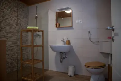 a bathroom with a sink and a toilet and a mirror at Apartments & Rooms Smučka in Kranjska Gora