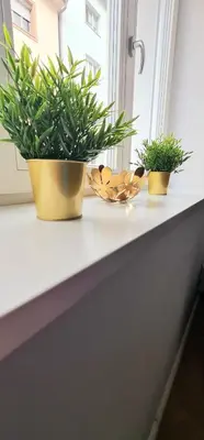two potted plants sitting on a window sill at Apartment Tivoli in Ljubljana