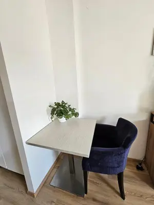 a table and a chair with a plant on it at soba v Pekrski vili in Limbuš
