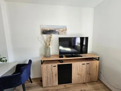 a television on a wooden stand in a room at soba v Pekrski vili in Limbuš