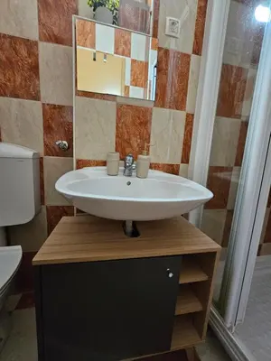a bathroom with a sink and a toilet at soba v Pekrski vili in Limbuš