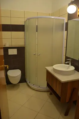 a bathroom with a shower and a sink and a toilet at Guesthouse Bistra in Vrhnika
