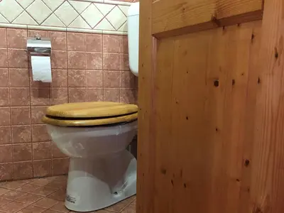 a bathroom with a white toilet with a wooden seat at Vineyard Cottage Janko & Metka in Otočec