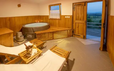 a room with two chairs and a hot tub at Vineyard Cottage Krivic in Trebelno