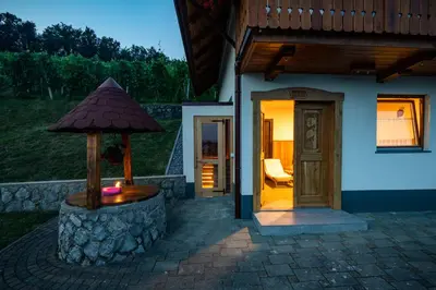 a house with a table with a umbrella next to it at Vineyard Cottage Krivic in Trebelno