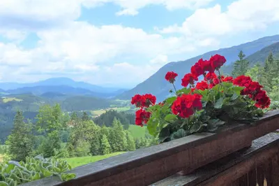 a flower pot with red flowers on a ledge at Apartments Petek in Gornji Grad