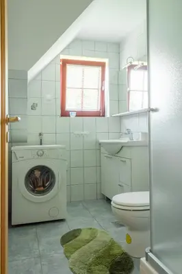 a bathroom with a washing machine and a toilet at Apartments Petek in Gornji Grad